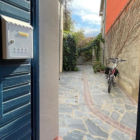 Studio Cabine A Collioure, A 100M De La Plage Et Des Commerces - Fr-1-309-153 外观 照片